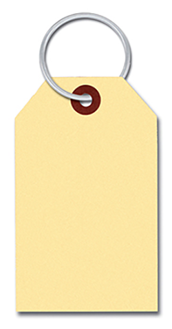 Manila key tags with 7/8" ring inserted