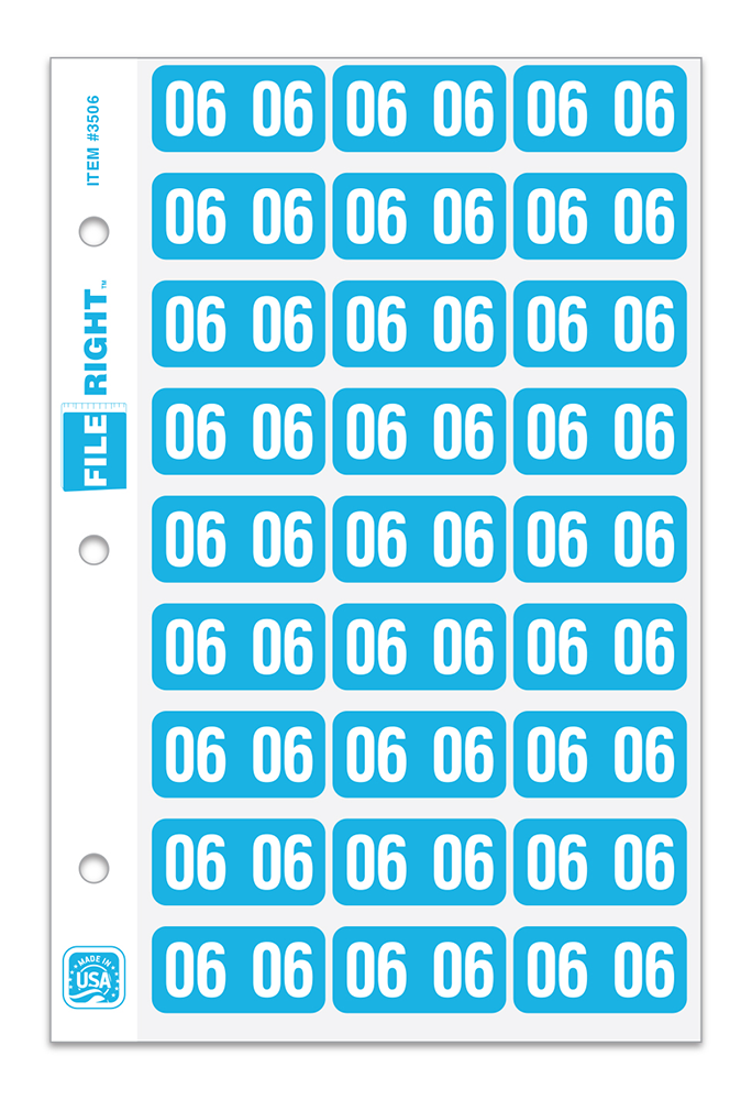 File Right™ Brand - 06 Year Labels