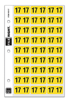File Right™ Brand - 17 Year Labels