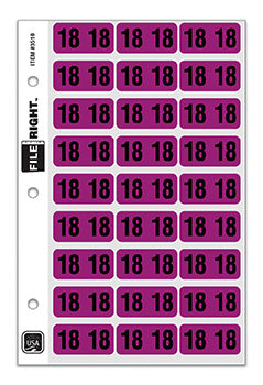 File Right™ Brand - 18 Year Labels