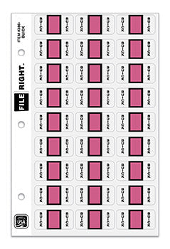 File right™ Brand - BUICK - Auto Makes Labels
