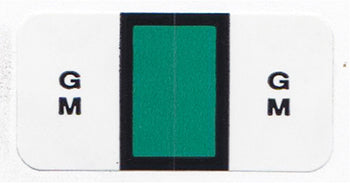 File right™ Brand - GM - Auto Makes Labels