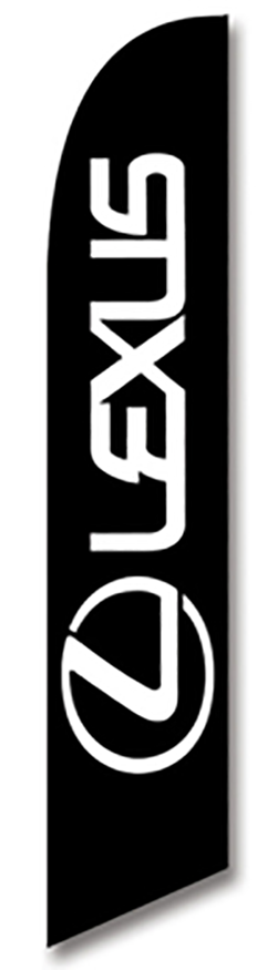 ViZi™ Brand - swooper banner