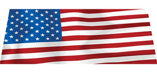 ViZi™ Brand- windshield banners