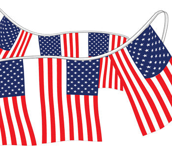 American flag pennants - polyethyene
