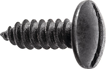 License plate screw - slotted truss head