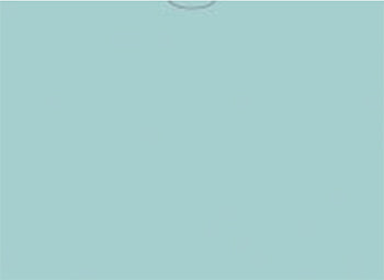 File rite brand™ - plain vehicle deal envelopes - form dsa-500