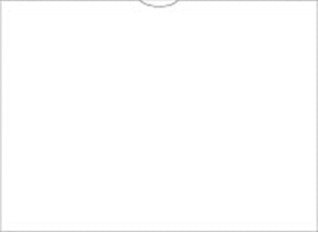 File rite brand™ - plain vehicle deal envelopes - form dsa-500