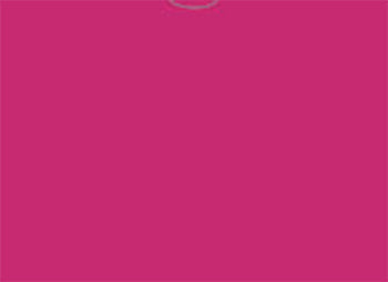 File rite brand™ - plain vehicle deal envelopes - form dsa-500