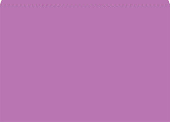 File rite brand™ - heavy duty plain deal envelope (deal jacket) - form sa1220hd