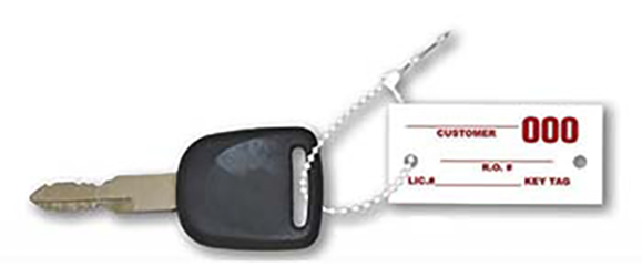 Plastic key snaps