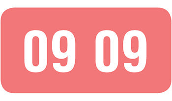 File Right™ Brand - 09 Year Labels