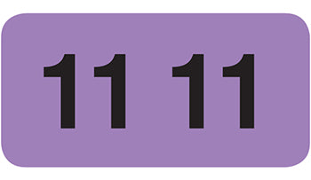 File Right™ Brand - 11 Year Labels