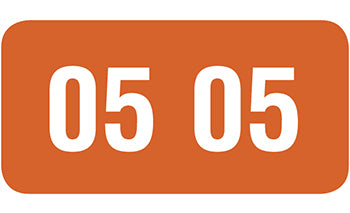 File Right™ Brand - 05 Year Labels