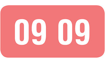 File Right™ Brand - 09 Year Labels
