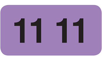 File Right™ Brand - 11 Year Labels