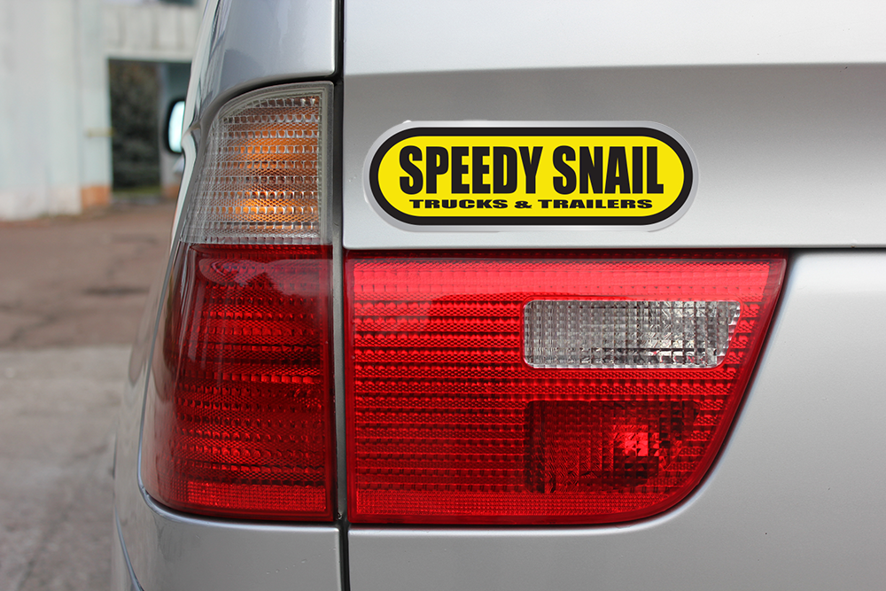 Domed auto decals - chrome