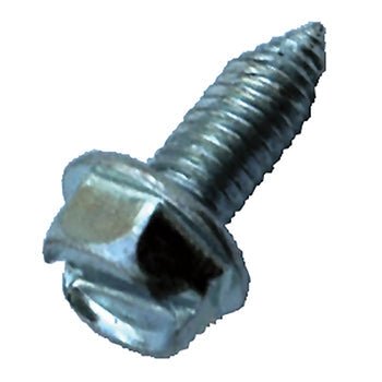 License plate screw - sloted hex head