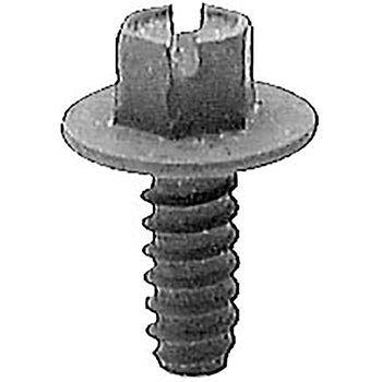 License plate screw - sloted hex washer head