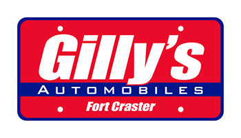 Custom plastic car plate - polyethylene