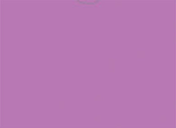 File rite brand™ - plain vehicle deal envelopes - form dsa-500