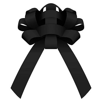 ViZi™ Brand 30" shiny vinyl bow