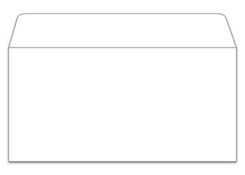 Plain license plate envelope