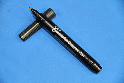 Counterfeit security pen